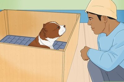 How to Handle a Mother Dog Refusing to Stay with Her Puppies
