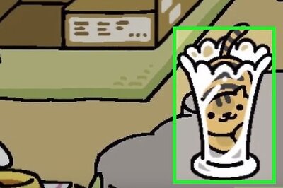 How to Get Tubbs in Neko Atsume