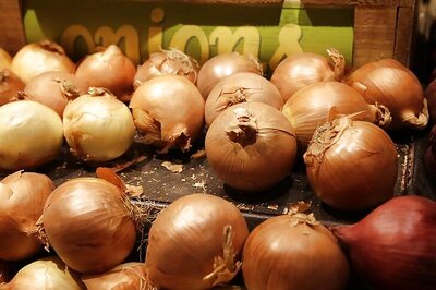 Government approves bids for 1k tonnes of onion import