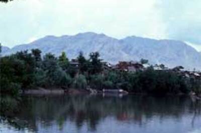 Birds return to Kashmir as violence ebbs