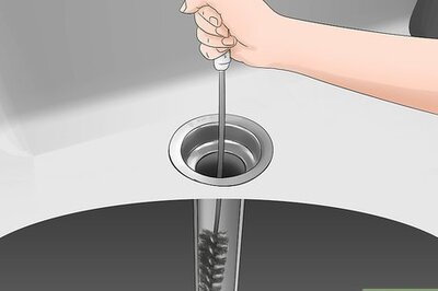 How to Get Rid of Gnats