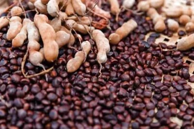 5 Uses of Tamarind Seeds You Were Not Aware of
