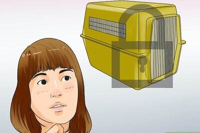 How to Buy a Dog Crate