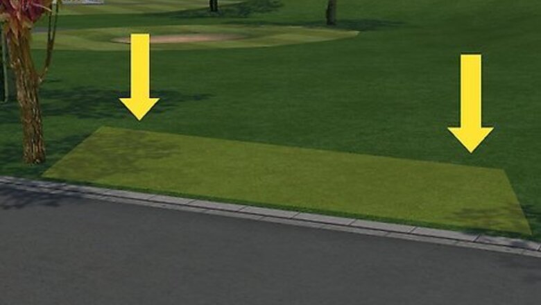 How to Plant a Beech Hedge