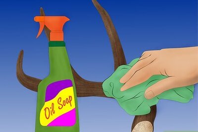 How to Make Antler Lamps