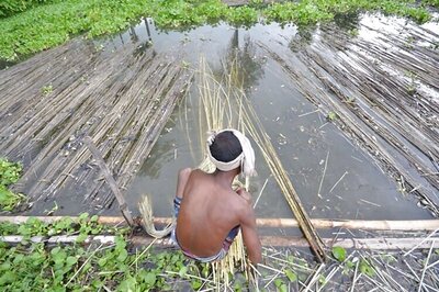 Congress playing politics in the name of cotton farmers: RSS