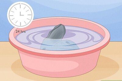 Chia Pet Instructions: Getting Started & Care Guide