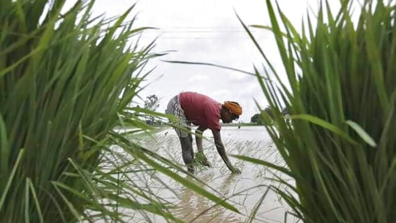 Funds for 23 large irrigation projects to flow in from April