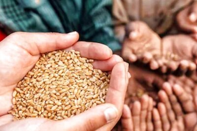 Centre Approves Additional Wheat Allocation Under PMGKAY, Distribution To Start In October