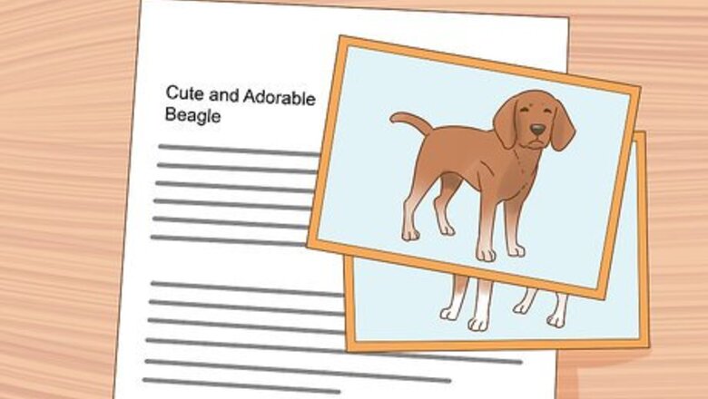 How to Find a Good Home when You Must Give up Your Pet