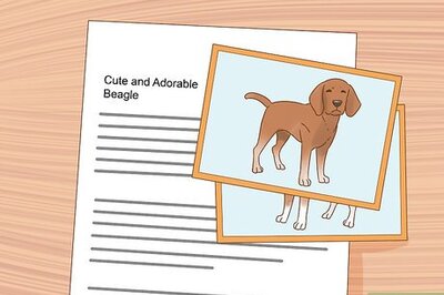 How to Find a Good Home when You Must Give up Your Pet