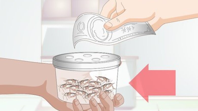 How to Feed a Chameleon