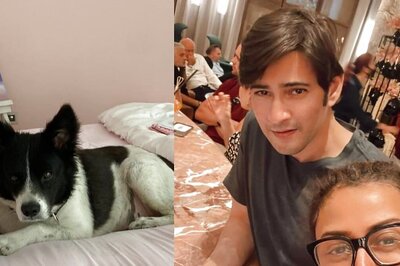 Mahesh Babu And Namrata Shirodkar’s Pet Dog Pluto Dies: ‘We Will Miss You In Our Hearts Forever’