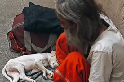 Viral: Internet Praises Poor Man For Prioritising Dog's Need Over His Own
