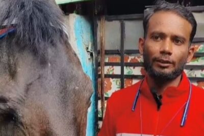 Bikes To Horses, Hyderabad Zomato Executive's Unconventional Ways To Deliver Food At Your Doorstep