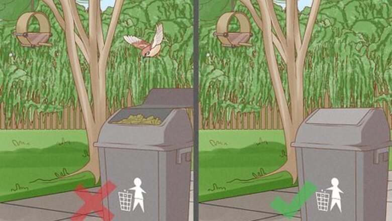 How to Get Rid of Birds