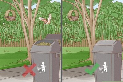 How to Get Rid of Birds