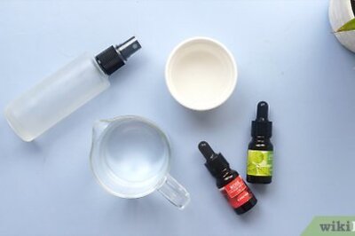 Homemade Air Fresheners for Your Home or Car