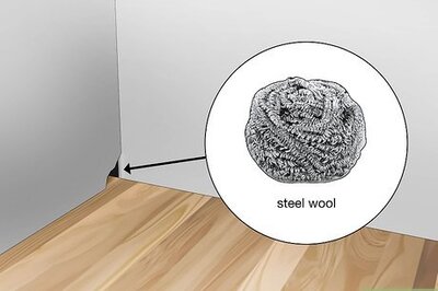 How to Keep Your Home Free of Rodents