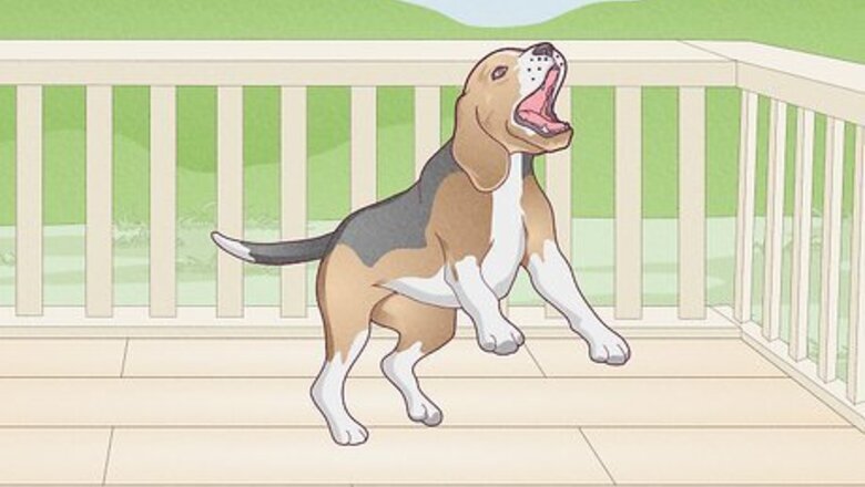 How to Stop a Dog's Unwanted Behavior