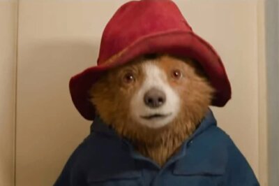 Paddington In Peru Teaser: Fan-Favourite Bear Hilariously Fails To Take Passport Picture