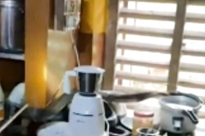 In Uttara Kannada, Snake Catcher Rescues 12-foot Long King Cobra