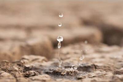 Empowering Change: Navigating India’s Water Scarcity Through Personal and Collective Actions