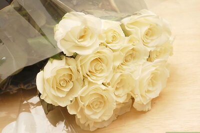 How to Dye White Roses with Food Coloring