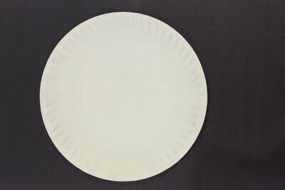 How to Make a Paper Plate Jellyfish