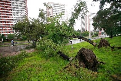 North Korean Leader Thankful Typhoon Damage Wasn't Worse
