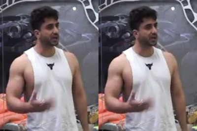 Bigg Boss 14 Viewer Asks Aly Goni if the Show is 'Scripted', Here's His Response