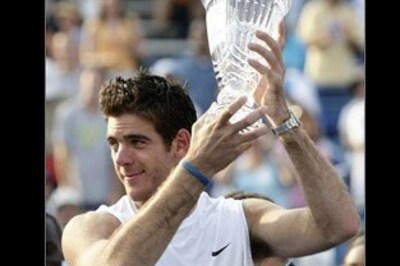 Del Potro wins title to spoil Roddick return
