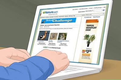 How to Use a Backyard Bird Feeder