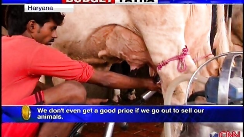 Delayed monsoon hits dairies, souring inflation outlook