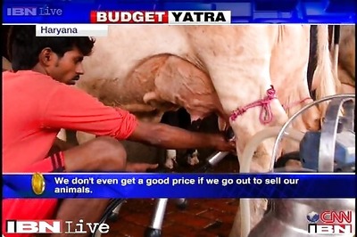 Delayed monsoon hits dairies, souring inflation outlook