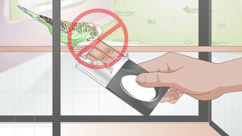 How to Avoid Poisoning Your Pet Bird