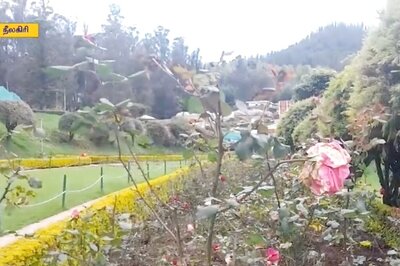 In Ooty, Govt Rose Garden Decays As Unseasonal Rains Wreak Havoc