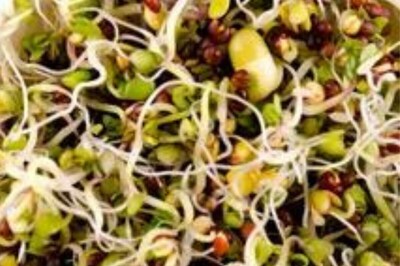 Rich Fiber Source To Protein Powerhouse; Here Are The Health Benefits Of Raw Sprouts