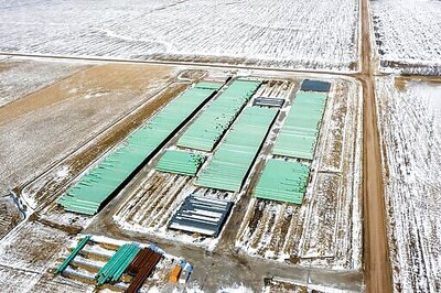 States Sue Biden In Bid To Revive Keystone XL Pipeline