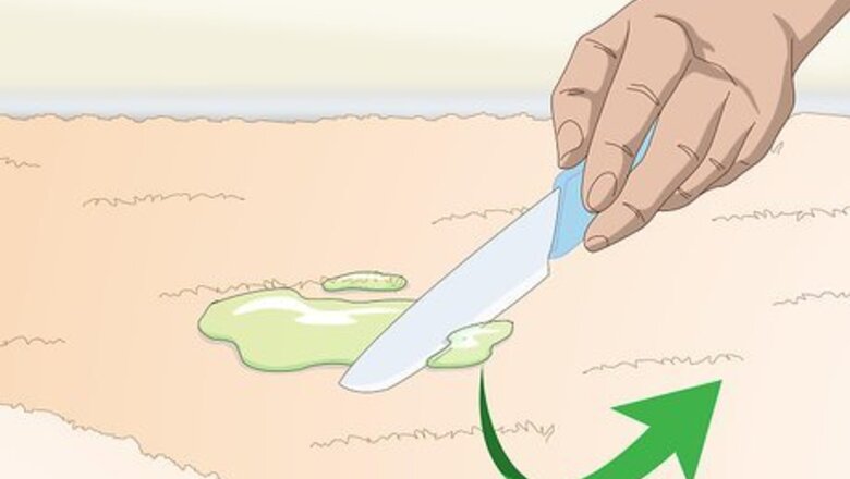 How to Get Dried Slime Out of Carpet