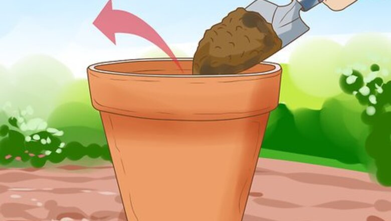 How to Clean Clay Pots