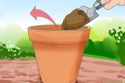 How to Clean Clay Pots
