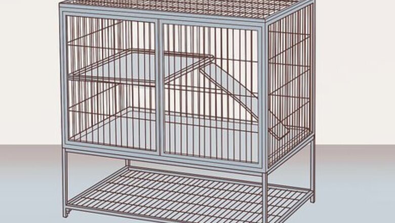 How to Care for Peruvian Guinea Pigs