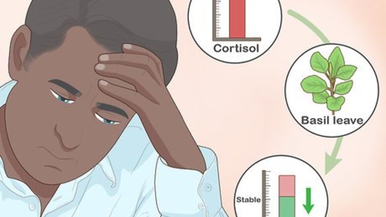 How to Use Holy Basil