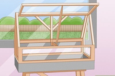 How to Grow Bamboo from Seed