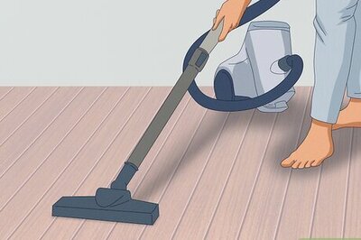 A Complete Guide to Eliminating Daddy Long Legs from Your Home