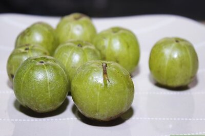 How to Eat Amla