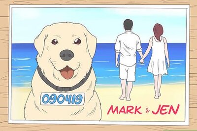 How to Include a Pet in Your Wedding