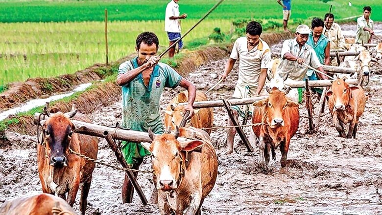 Rs 3,000 Cr Transferred to 42 Lakh Ineligible Farmers Under PM-KISAN Scheme, Centre Now Recovering Money
