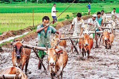 Rs 3,000 Cr Transferred to 42 Lakh Ineligible Farmers Under PM-KISAN Scheme, Centre Now Recovering Money
